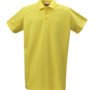 Polo-Shirt