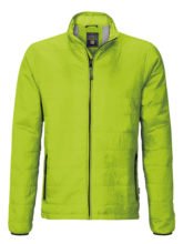 Jacke - Grün
